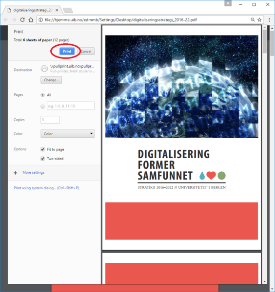Fil:Chromeprint-Capture3-printdialog.PNG